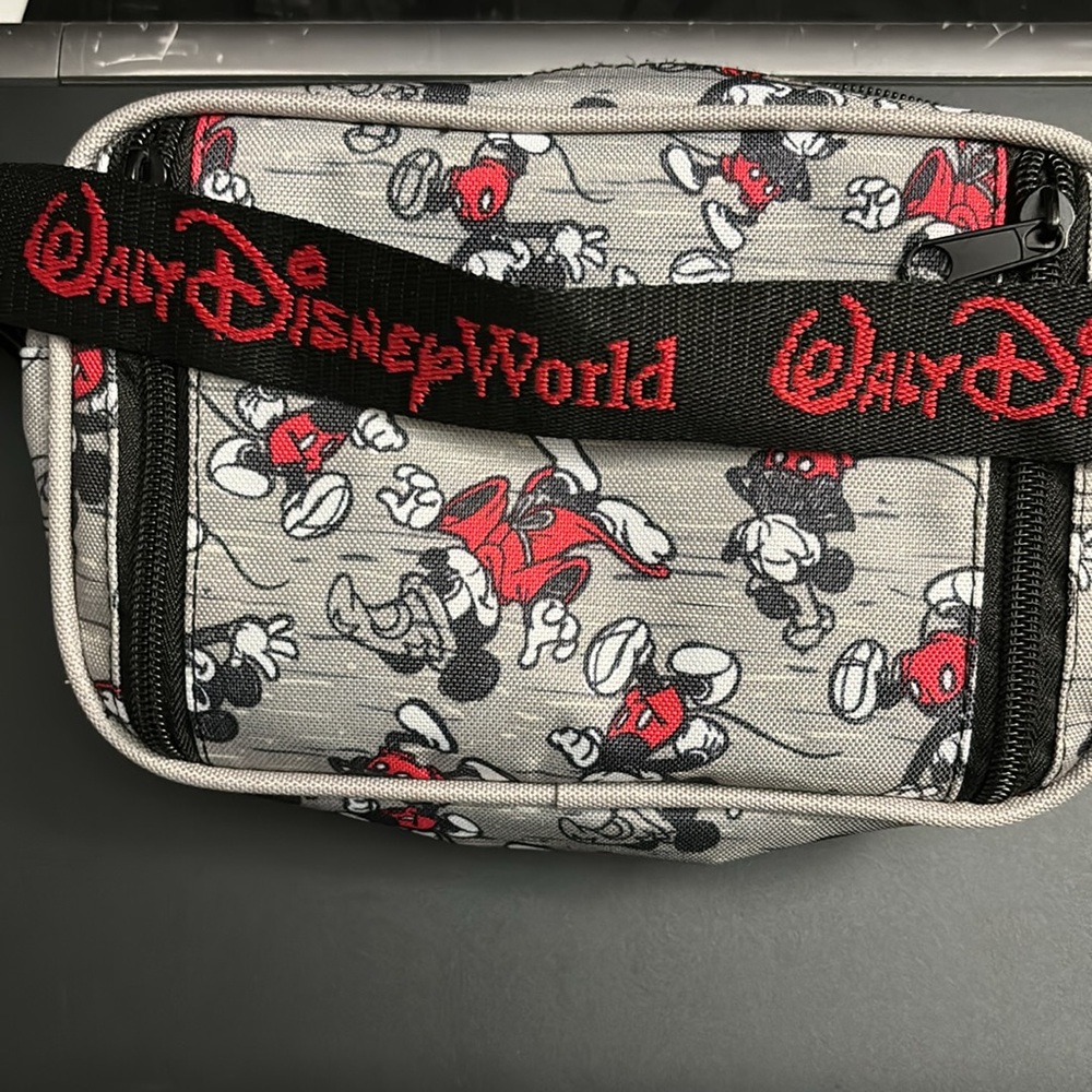 Small Walt Disney World bag with Walt Disney world strap - Picture 3 of 3